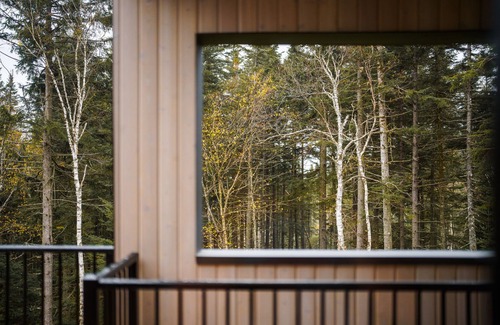 Lac Beauport Ski Chalet | Nanok - Micro-chalet Immersif de la Montagne le Maelström