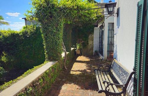 Barrio Historico House | Naranjo en Flor.