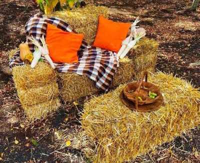 Tsilkani Ski Chalet | Narnia Cottages