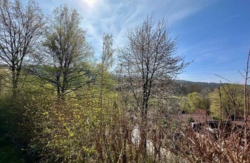 Machtlos House | Natur Pur - Waldurlaub im Tiny House
