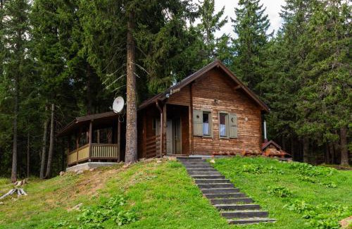 Zetea Ski Chalet | Natura Haziko