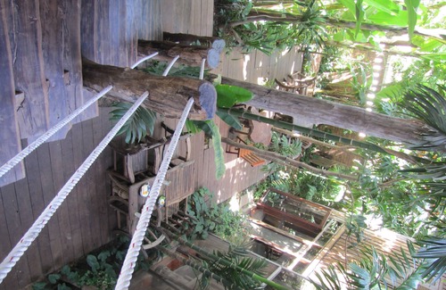 Siem Reap House | Natural family vacation