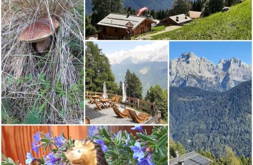 Caderzone Terme Bed & Breakfast | Natural Lodge Maso Baseta