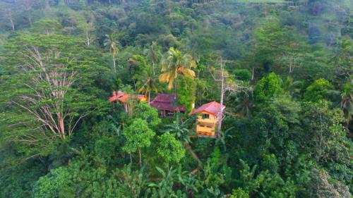 Deniyaya Cabin | Natural Mystic Sanctuary