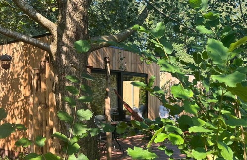 Bellingwolde Bed & Breakfast | Nature cottages Westerwolde, the luxury of a hotel room in the middle of greenery