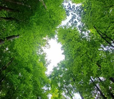 Northeastern Region Other | Nature Escape Tents