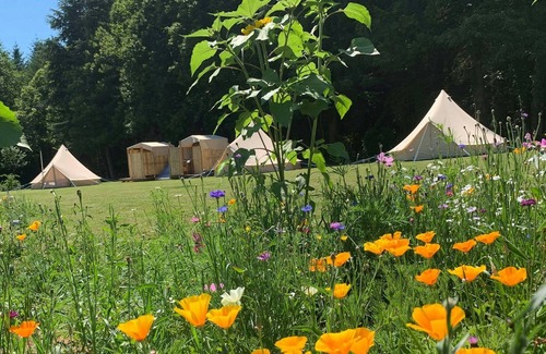 Le Lindois RV Rental | Nature filled family eco-retreat