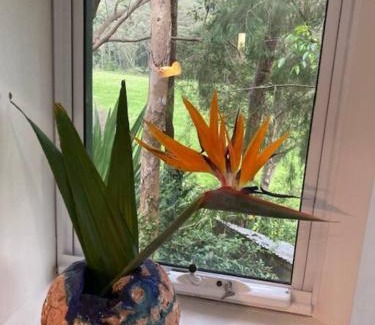 Spencer Apartment | Nature Retreat & Artists Studio 90mins from Sydney