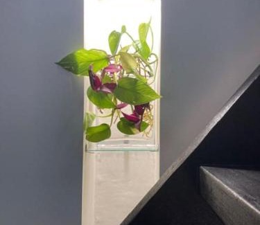 Spencer Apartment | Nature Retreat & Artists Studio 90mins from Sydney