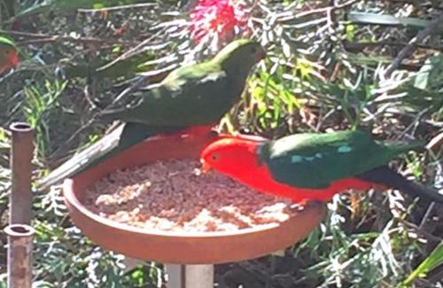 Spencer Apartment | Nature Retreat & Artists Studio 90mins from Sydney
