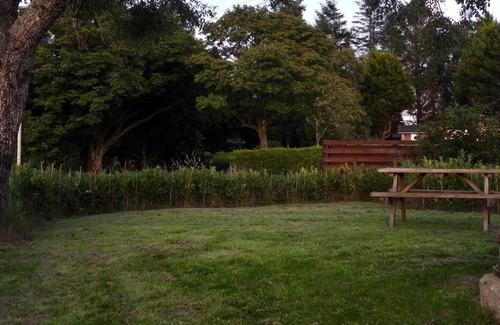 Bronaber House | Nature's Oasis: Pet-Friendly Snowdonia Cottage