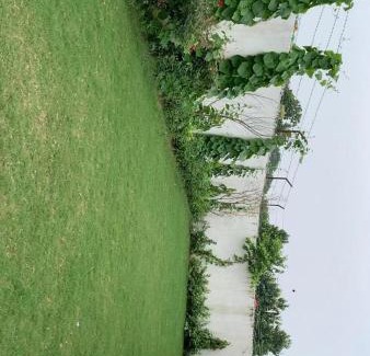 Varanasi House | Nature's property