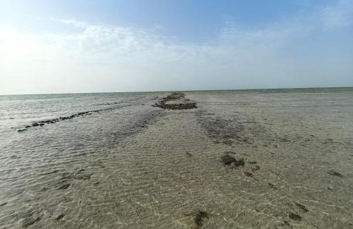 Al Gharbia House | NatureLand Beach Villa