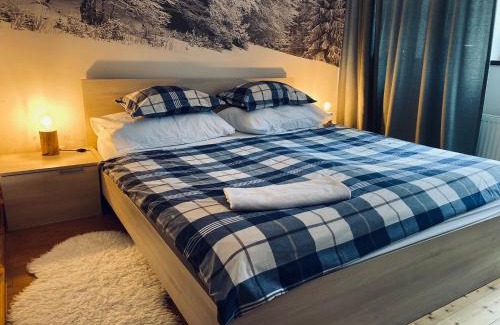 Harrachov Ski Chalet | Naturepark Resort