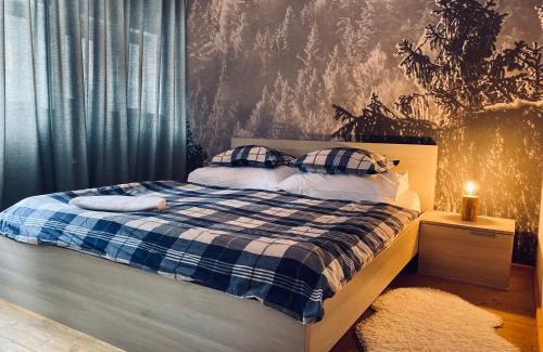 Harrachov Ski Chalet | Naturepark Resort