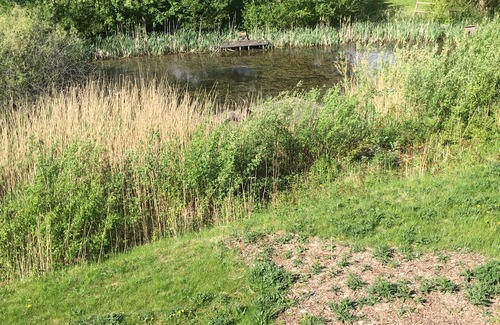 Ahrensbok Apartment | Naturnahes Gästezimmer mit Küche in Ostseenähe