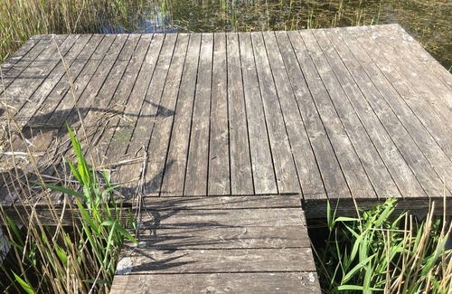 Ahrensbok Apartment | Naturnahes Gästezimmer mit Küche in Ostseenähe