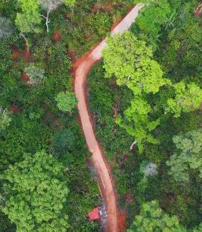 Virarajendrapet House | Navut Homestay - Serenity Among Coffee Plantations