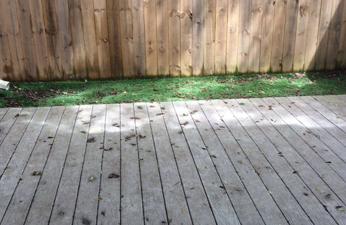 South Baton Rouge House | Near Perkins Rowe and Mall of Louisiana