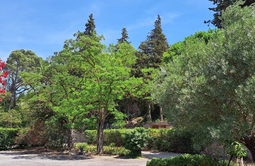 Narbonne House | Near the sea , the quiet and the charm of " LA FORGE"