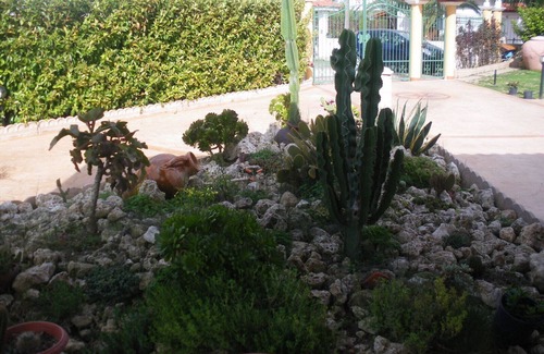Drapia Apartment | Near Tropea, Apartment in Villa Pamela vacations, (Camelia) 4/5