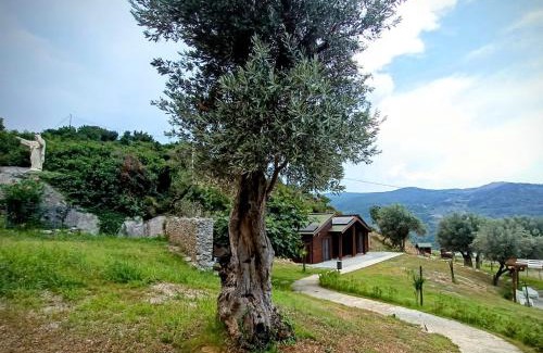 Alcara li Fusi Apartment | Nebrodi Agrivillage Bianca Sole Mia