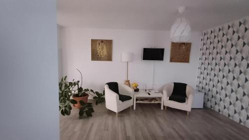 Timisoara Apartment | Neferprod Apartments - IS - CAM 05