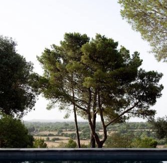Palazzolo Acreide House | Nepita