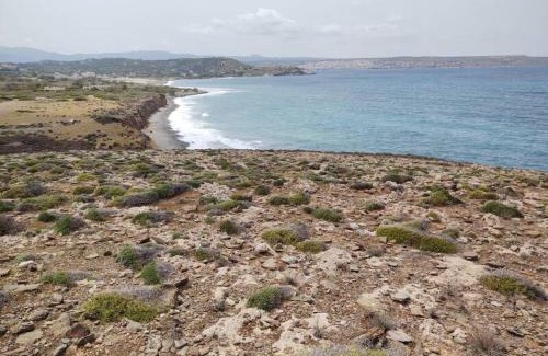 Ayia Fotia Apartment | Neromilos Agia Fotia Sitia