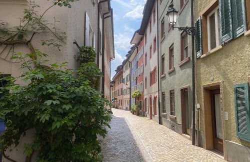Bad Saeckingen Apartment | NEU Deluxe Suite Münsterblick, Maisonette, Kingsize Bett, Küche, Netflix, Aussicht, E-Kamin
