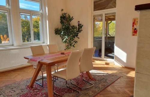 Steyr Apartment | Neu renovierte Altbauwohnung im Herzen von Steyr 100qm