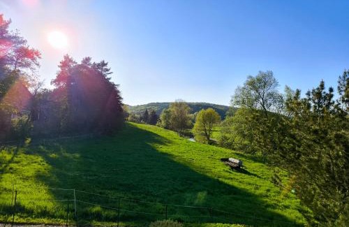 Katzweiler Apartment | NEU - Wild Western Wohnung - 110 qm umgeben von Pferden am Fluss