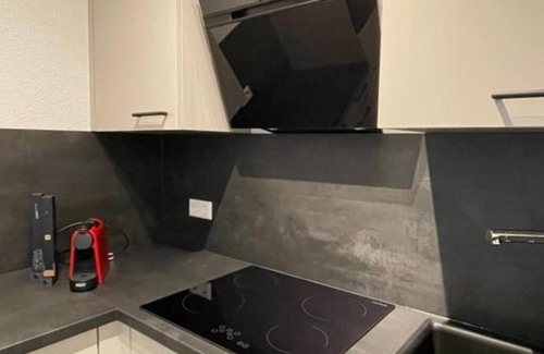 Friesenheim Apartment | Neue Ferienwohnung vor den Toren des Europaparks in zentraler und ruhiger Lage