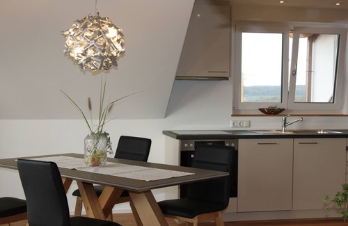 Freiamt Apartment | new apartment - high quality u. tastefully decorated with a fireplace near Europa Park