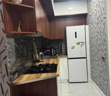 Akhali Ubani Apartment | New apartments in borjomi
