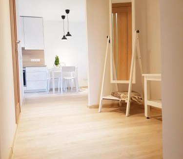 Druskininkai Apartment | New CITY CENTER apartments