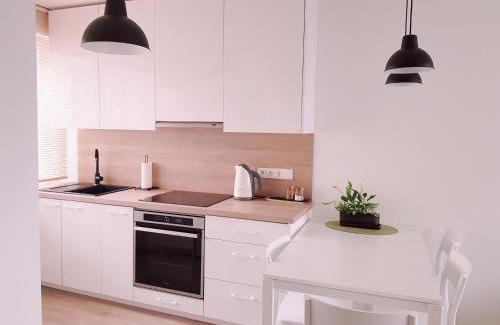 Druskininkai Apartment | New CITY CENTER apartments