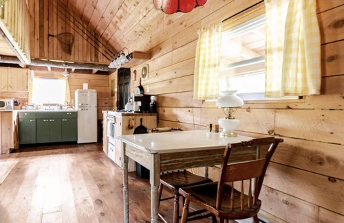 Town of Colchester Cabin | *New* Classic Cozy Catskill Mountain Cabin ~ Wood Stove+Soaking Tub
