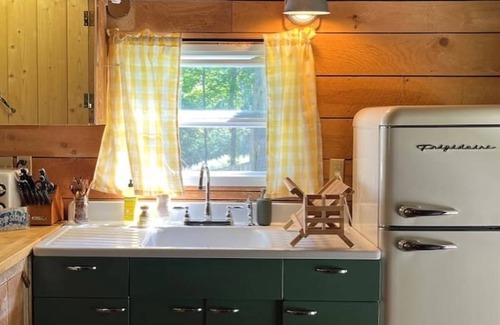 Town of Colchester Cabin | *New* Classic Cozy Catskill Mountain Cabin ~ Wood Stove+Soaking Tub