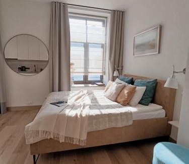 Centrs Apartment | NEW I Opera studio I Air Conditioning I Top location