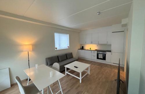 Ullensaker Apartment | New Modern Apartment in Central Jessheim