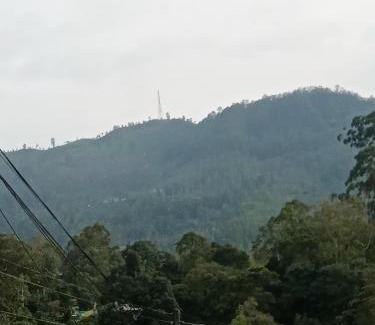 Bandarawela House | New Rose Villa Bandarawela