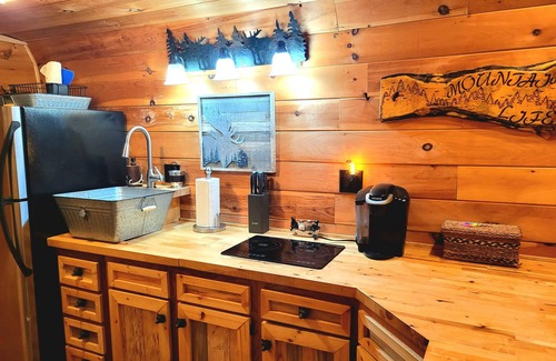 Flag Pond Apartment | New Smoky Mountain Tiny Cabin on Bold Stream with Hot Tub.
