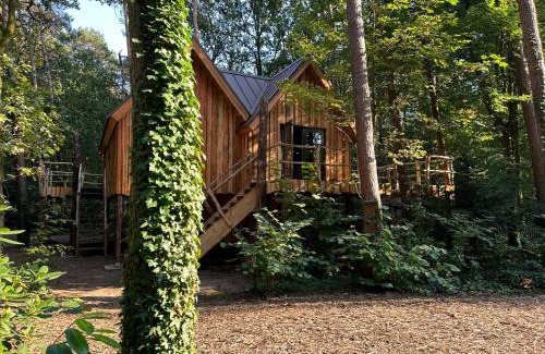Oisterwijk House | New Unique Treehouses with hot tub in Oisterwijk