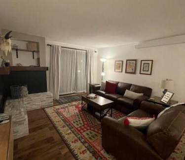 Crested Butte Apartment | Newly Renovated Ski In Ski Out 2BR Condo