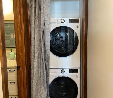 Crested Butte Apartment | Newly Renovated Ski In Ski Out 2BR Condo