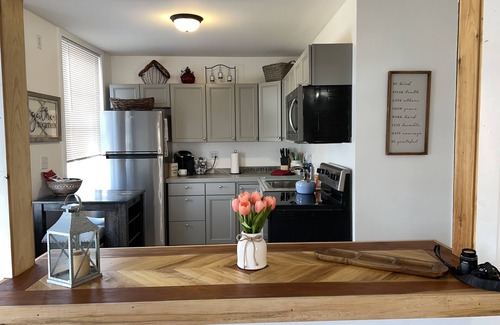 Greene Apartment | Newly renovated spacious apartment overlooking Greene NY