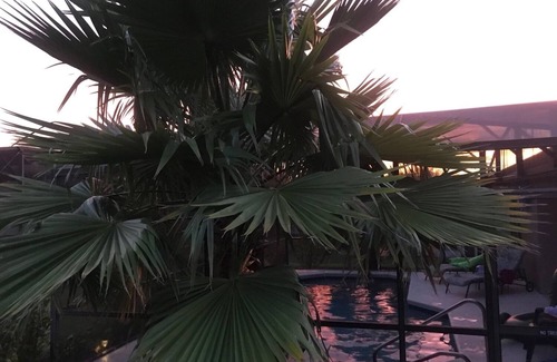 Florida Pines House | Newly Rentovated 4 bed Family villa close to all the action