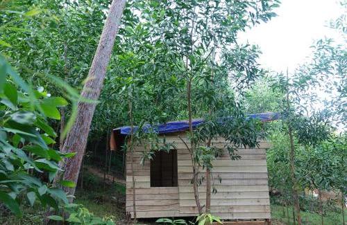 Son Trach House | Nguyen Shack Retreat Resort