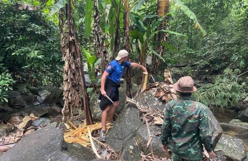 A Luoi Cabin | Nhuanthoa Homestay